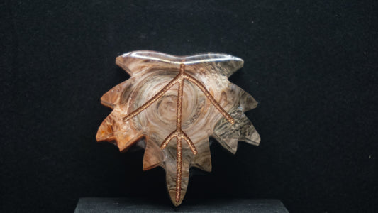 Falling for Autumn 155