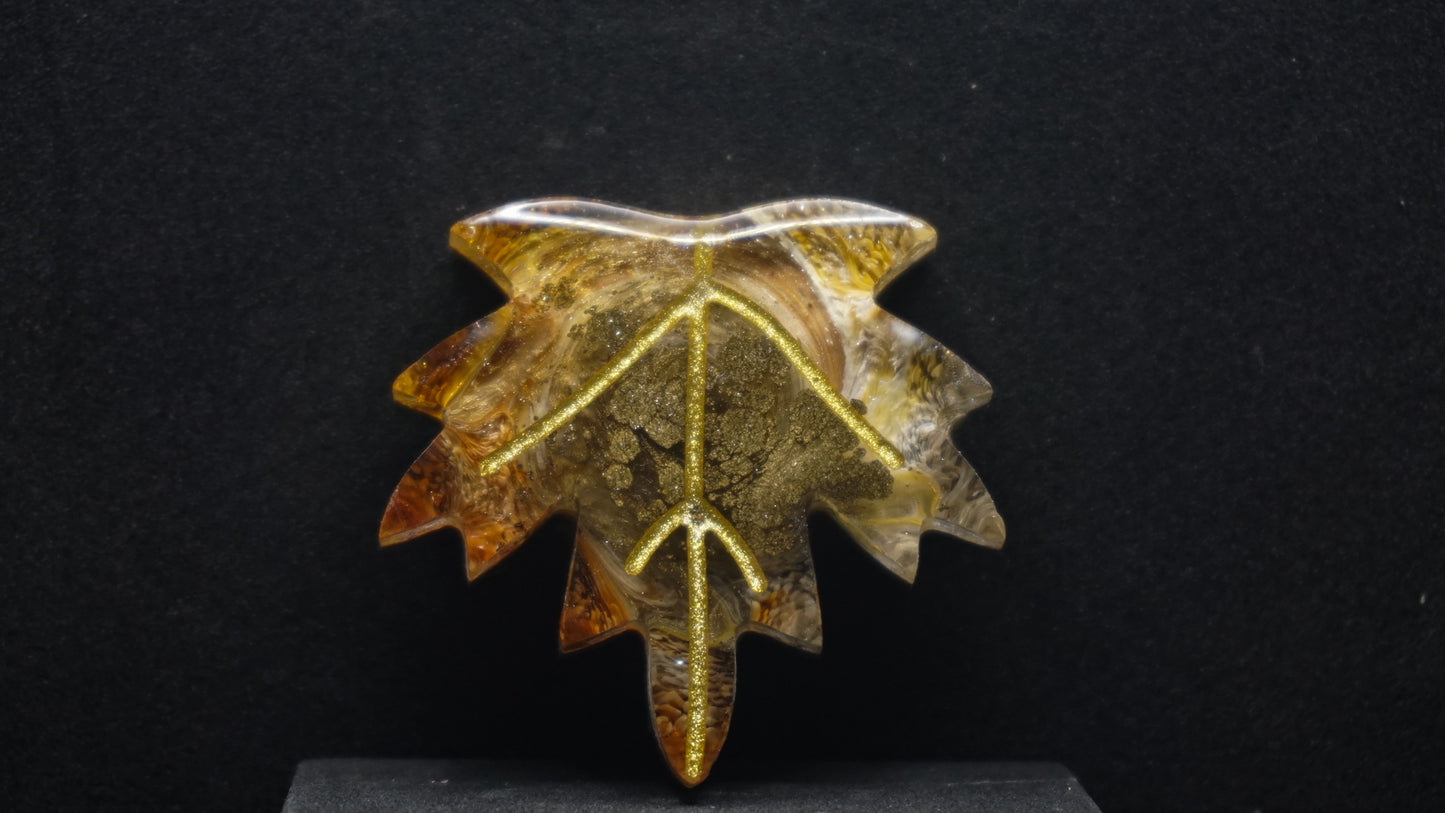 Falling for Autumn 159