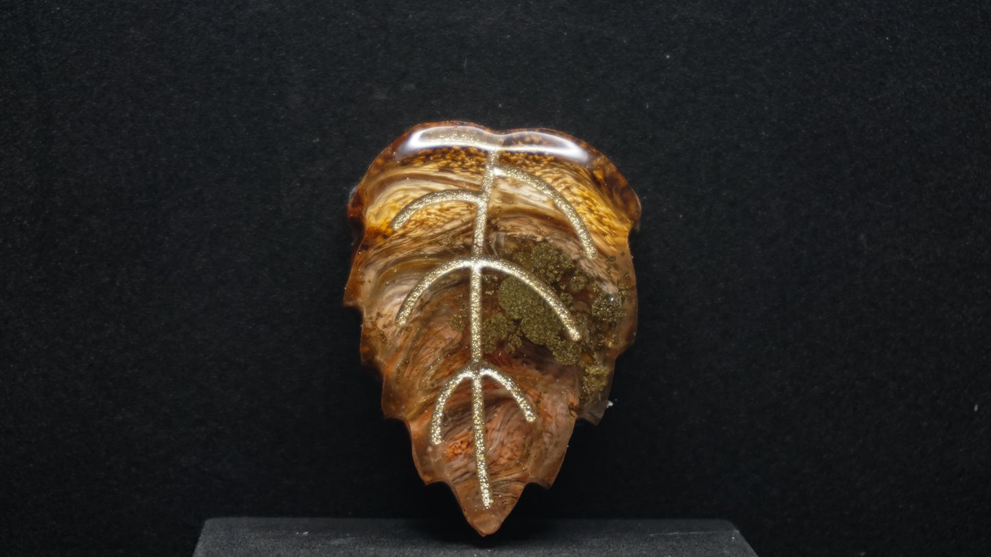 Falling for Autumn 165