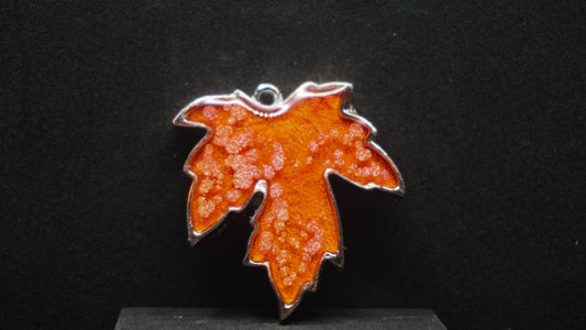 Falling for Autumn 175