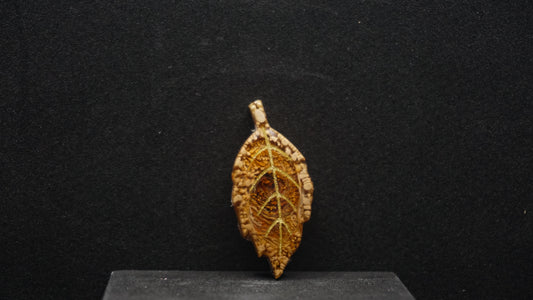 Falling for Autumn 183