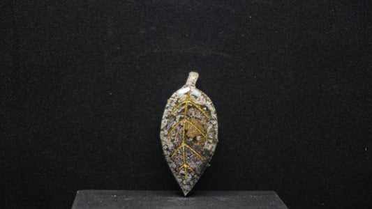 Falling for Autumn 184