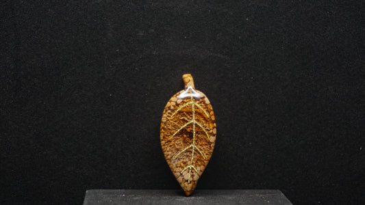 Falling for Autumn 185