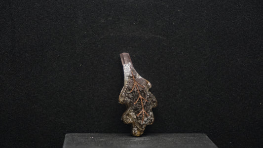 Falling for Autumn 186